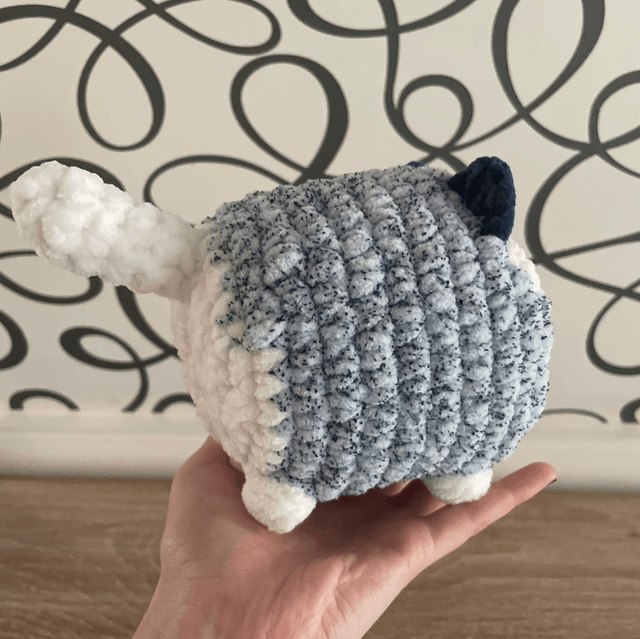 Chat boule bleu
