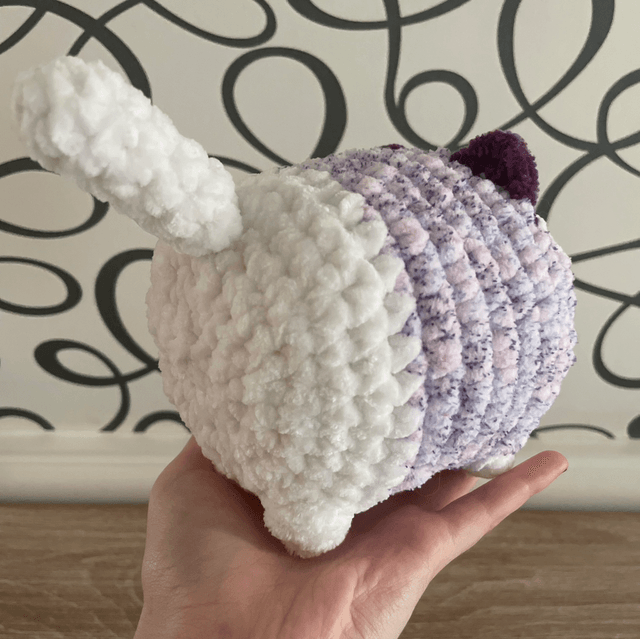 Chat boule violet