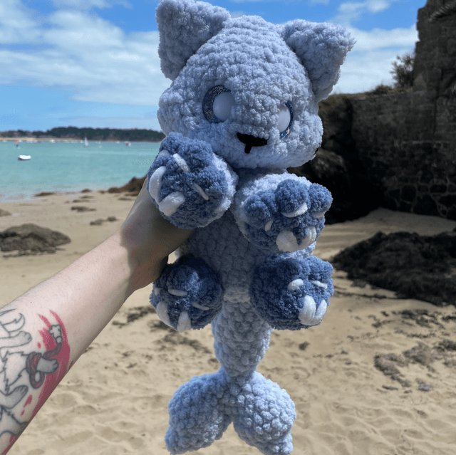 Chat requin bleu
